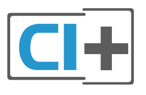 CI Plus logo